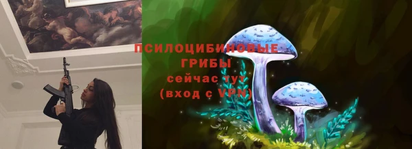 первитин Нягань