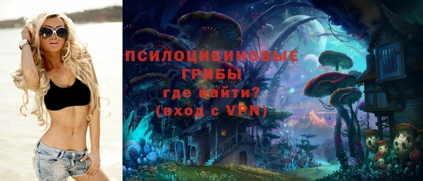 MESCALINE Няндома