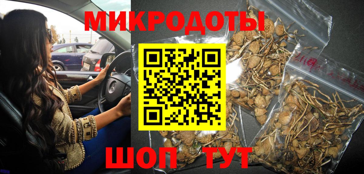 Псилоцибиновые грибы мицелий  Вход с VPN  Азнакаево  Псилоцибиновые грибы Psilocybe 