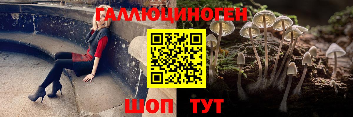 Псилоцибиновые грибы Magic Shrooms Азнакаево